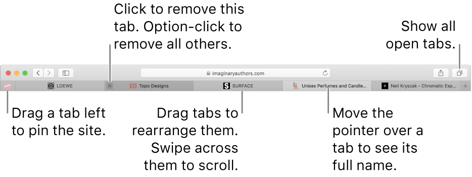 The Safari window with tabs.