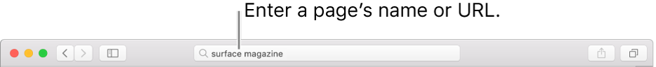 The Safari Smart Search field, where you can enter a page’s name or URL.
