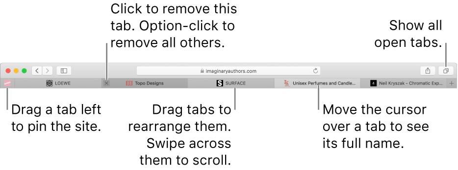 The Safari window with tabs.