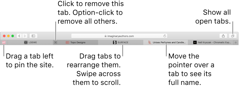 The Safari window with tabs.
