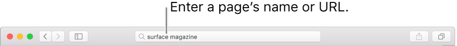 The Safari Smart Search field, where you can enter a page’s name or URL.
