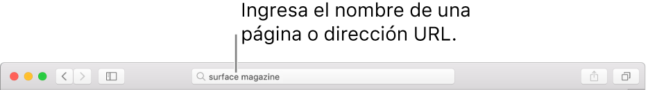 El campo de búsqueda inteligente de Safari, en donde puedes ingresar el nombre de una página o un URL.