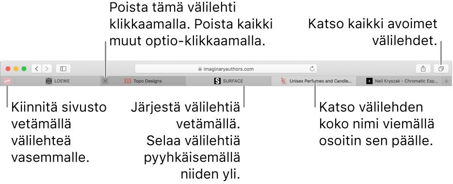 Safari-ikkuna, jossa on välilehtiä.