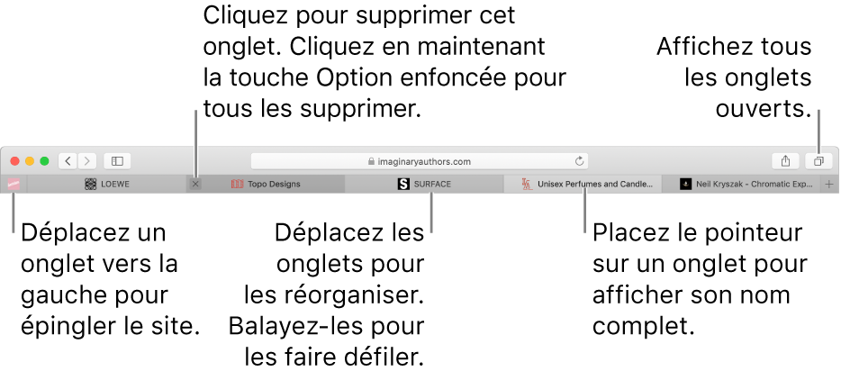 La fenêtre Safari comportant des onglets.