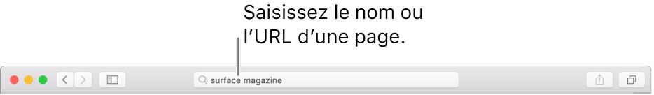 Le champ de recherche intelligente de Safari, dans lequel vous pouvez saisir le nom ou l’URL d’une page.