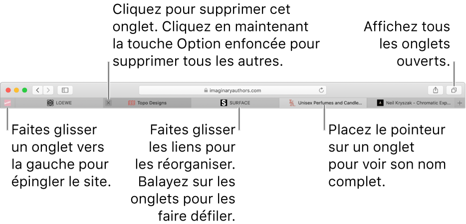La fenêtre Safari comportant des onglets.