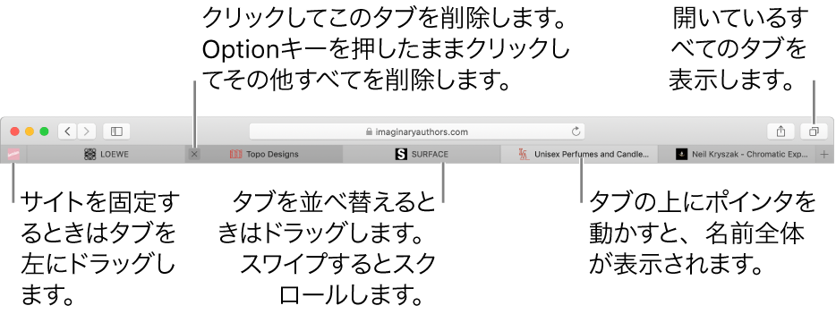 タブのある Safari ウインドウ。
