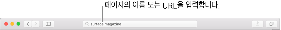 페이지 이름 또는 URL을 입력할 수 있는 Safari 스마트 검색 필드.