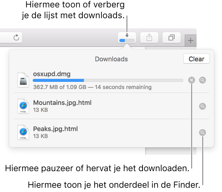 De knop 'Downloads' in de knoppenbalk, met daaronder de lijst met downloads.