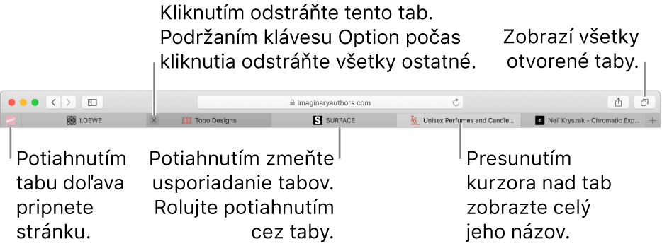 Okno Safari s tabmi.