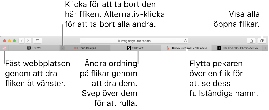 Safari-fönstret med flikar.