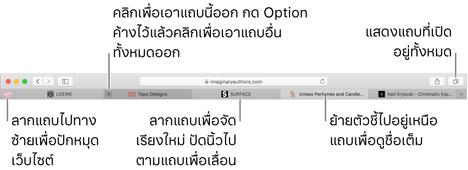 หน้าต่าง Safari ที่มีแถบต่างๆ