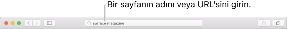 Sayfanın adını veya URL’sini girebileceğiniz Safari Akıllı Arama alanı.
