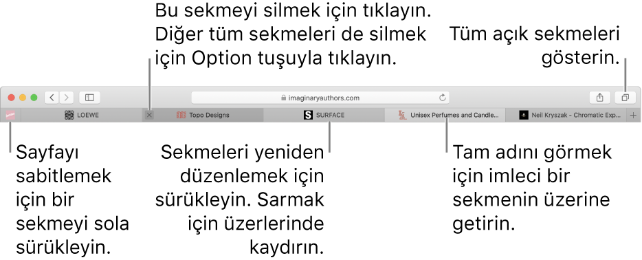 Sekmeler içeren Safari penceresi.