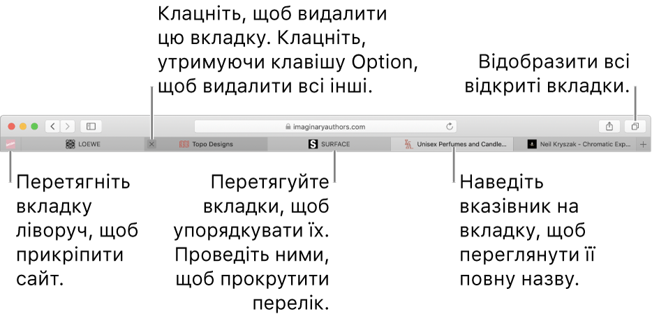 Вікно Safari з вкладками.