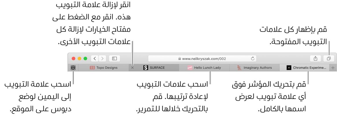 نافذة Safari وبها علامات تبويب.