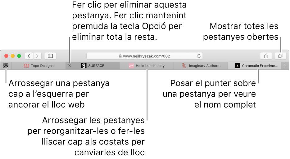 La finestra del Safari amb pestanyes.