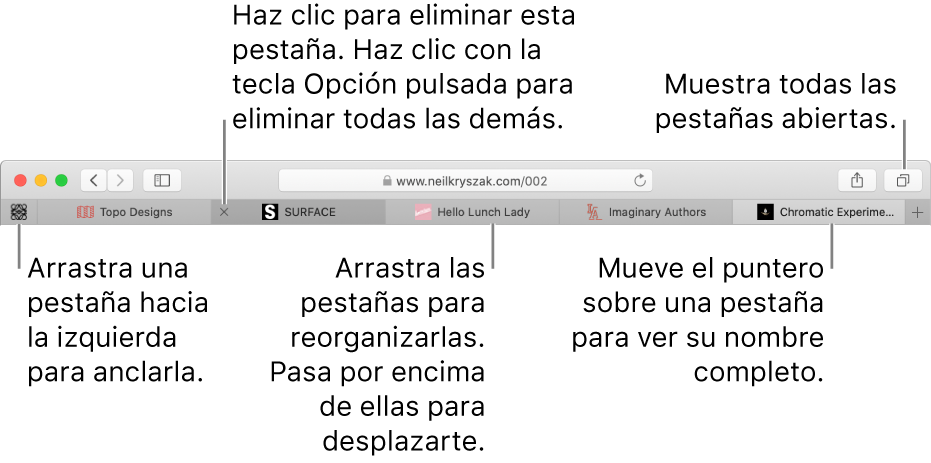 La ventana de Safari con pestañas.