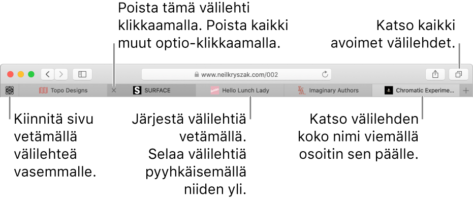 Safari-ikkuna, jossa on välilehtiä.