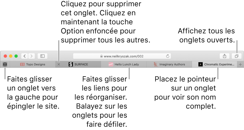La fenêtre Safari comportant des onglets.