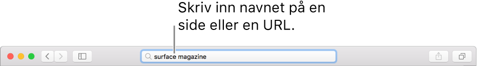 Det smarte søkefeltet plassert i midten av Safari-verktøylinjen.