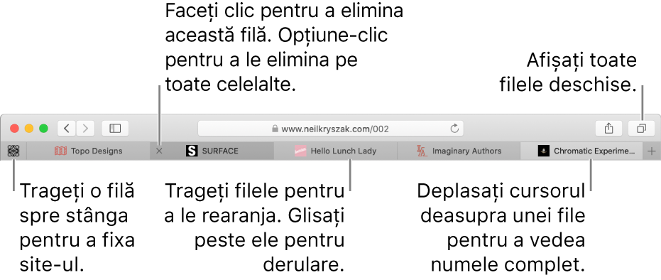 Fereastră Safari cu file.