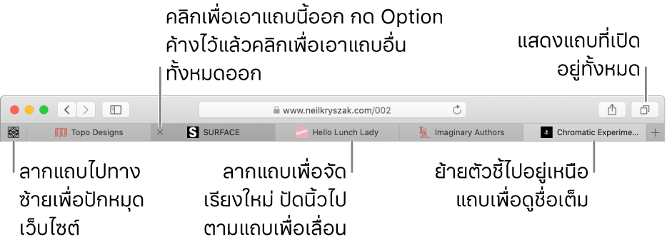หน้าต่าง Safari ที่มีแถบต่างๆ