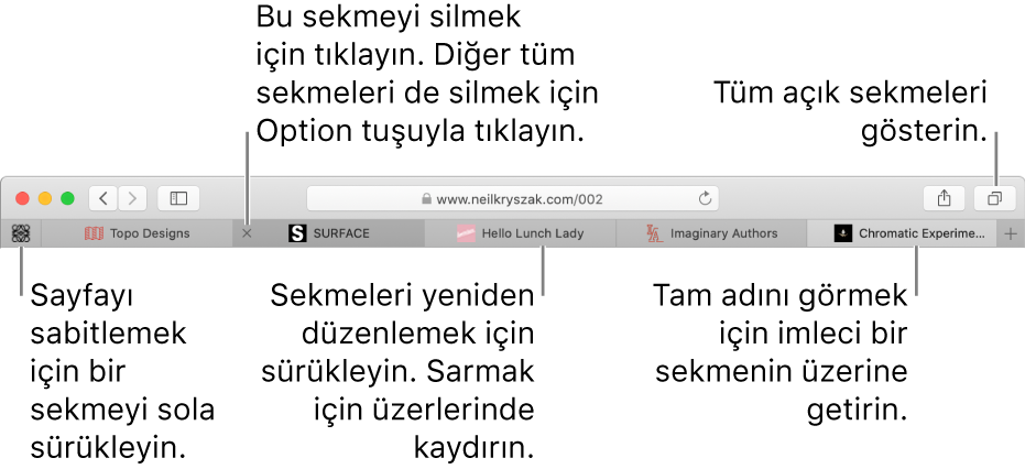 Sekmeler içeren Safari penceresi.