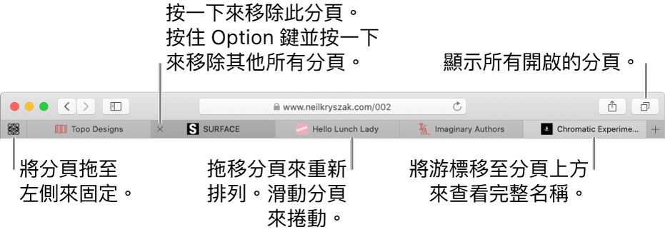 帶有分頁的 Safari 視窗。