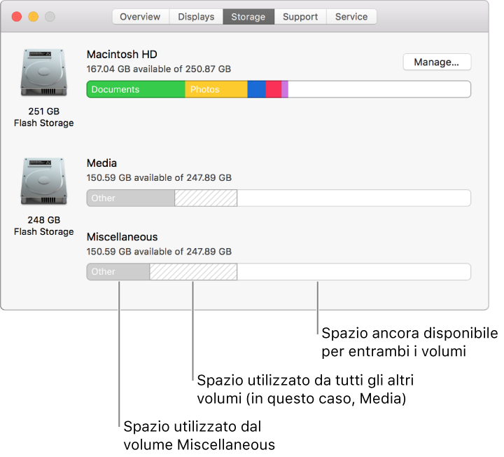 Una singola partizione APFS (contenitore) con due volumi.