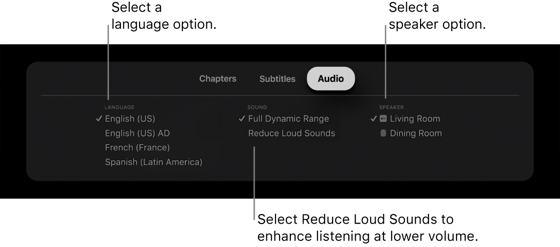 Audio menu during playback