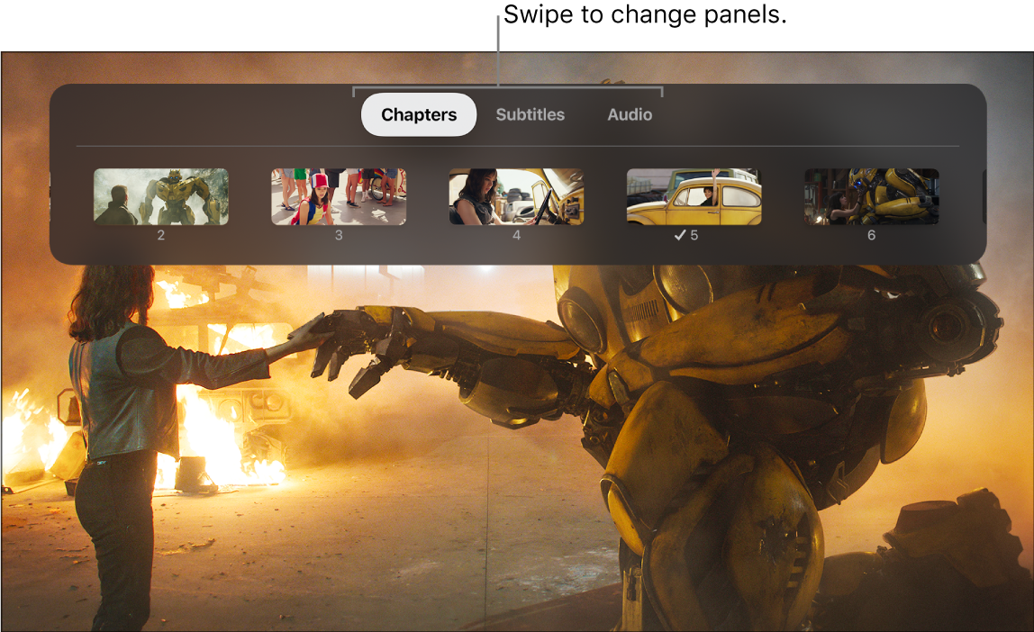 Info menu during playback