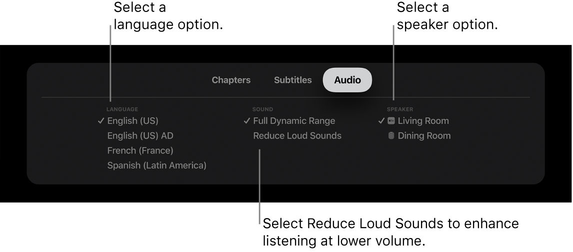 Audio menu during playback