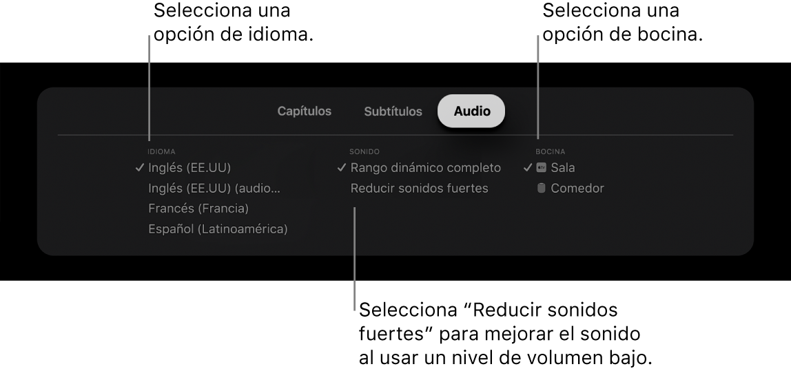 Menú Audio durante la reproducción