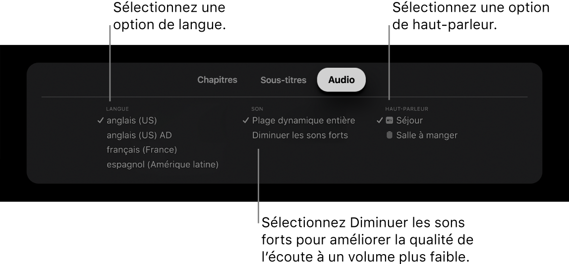 L’écran de lecture avec la sous-fenêtre Audio et le mode Diminuer les sons forts sélectionné