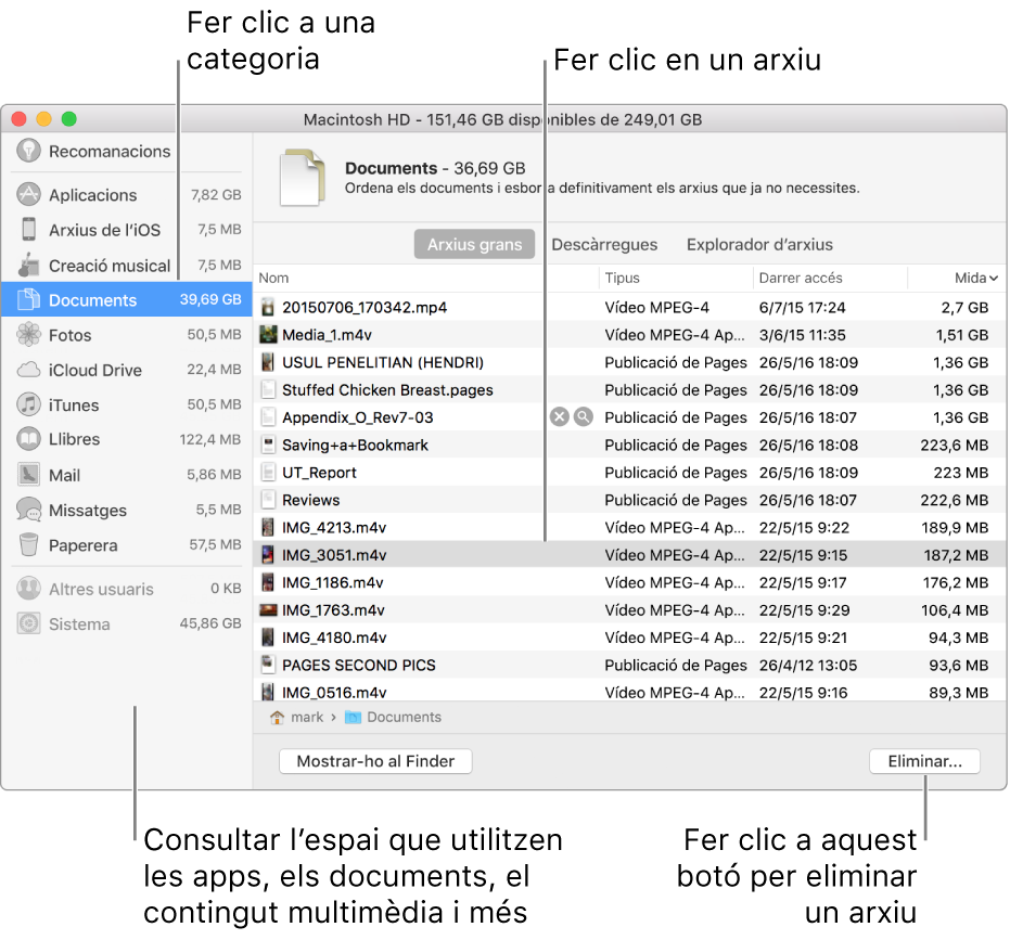 Ordena els arxius per categoria per veure quina quantitat d’espai està en ús, per buscar arxius i per eliminar els arxius que ja no necessites.