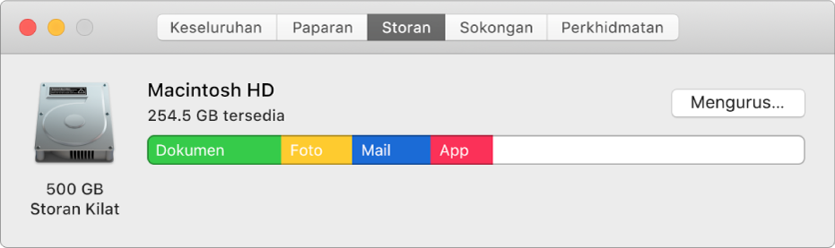 Anak tetingkap Storan dalam Maklumat Sistem menunjukkan perwakilan grafik storan anda.