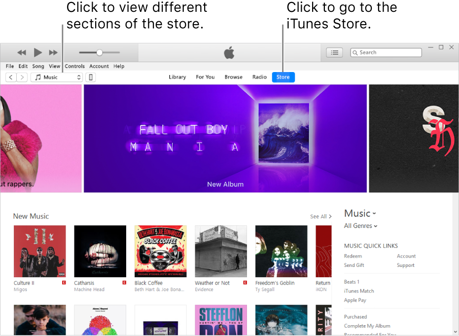 The iTunes Store main window: In the navigation bar, Store is highlighted. In the upper-left corner, choose to view different content in the Store (such as Music or TV).