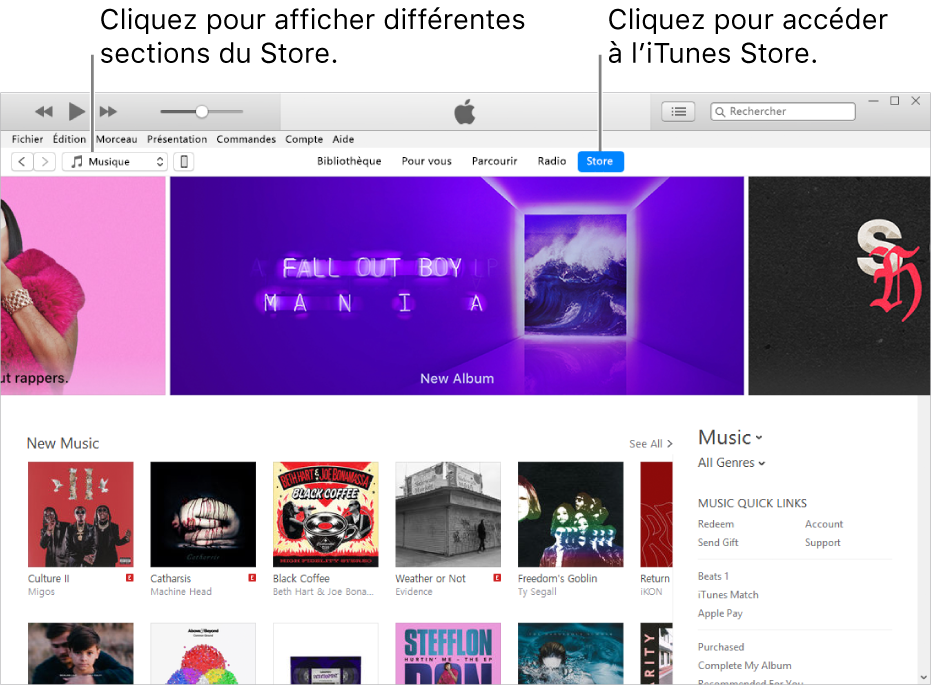 La fenêtre principale de l’iTunes Store : Dans la barre de navigation, Store est surligné. Dans le coin supérieur gauche, choisissez de voir différents contenus dans l’iTunes Store (par exemple Musique ou Émissions de télévision).