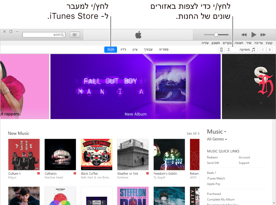 החלון הראשי של iTunes Store: בסרגל הניווט, האפשרות Store מודגשת. בפינה השמאלית העליונה, בחר להציג תוכן שונה ב- Store (למשל ״מוסיקה״ או ״תכניות טלוויזיה״).