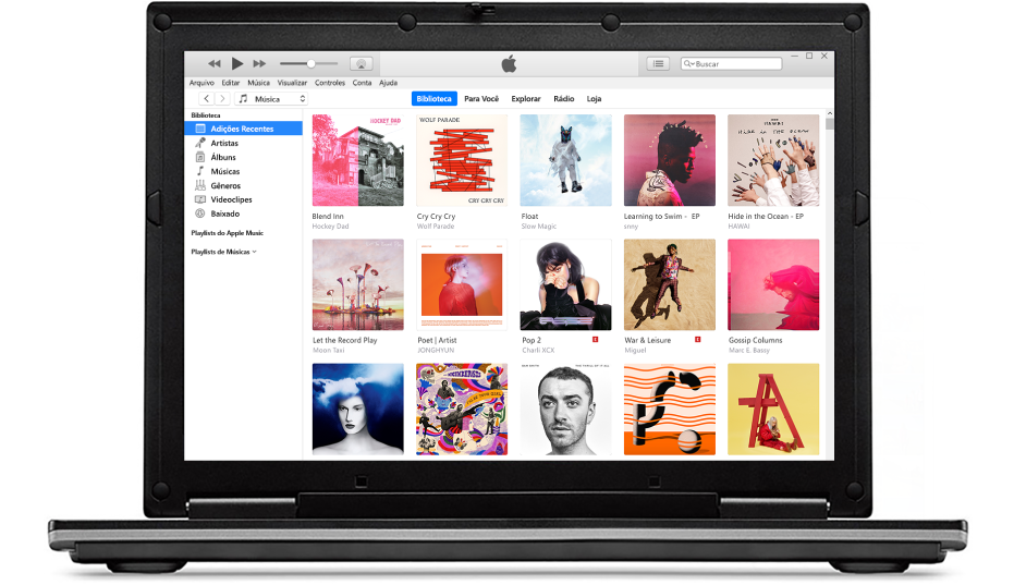 A janela do iTunes com uma biblioteca de vários álbuns.