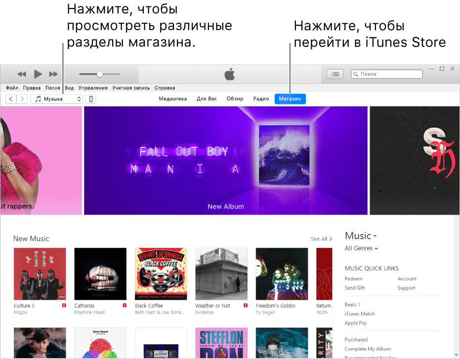Главное окно iTunes Store. В панели навигации выделена надпись «Магазин». В левом верхнем углу можно выбрать разные типы просматриваемого в Магазине контента (например музыку или ТВ).