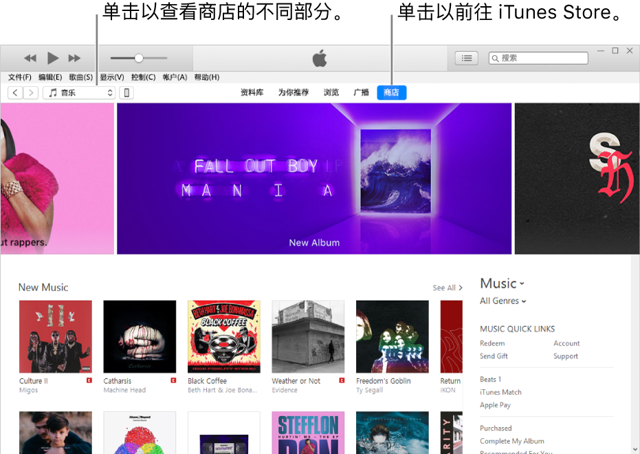 iTunes Store 主窗口：在导航栏中，“商店”被高亮显示。在左上角中，选取以查看“商店”中的不同内容（如音乐或电视）。