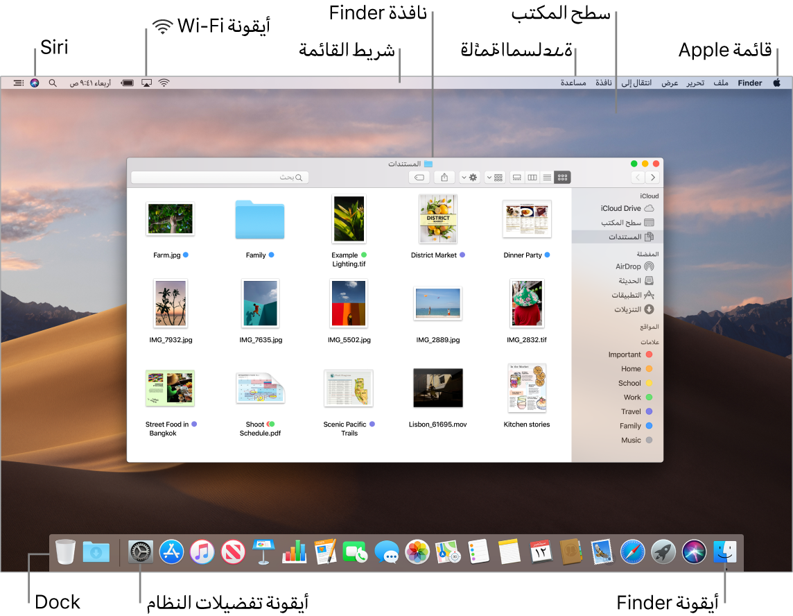 شاشة Mac تعرض قائمة Apple وسطح المكتب وقائمة المساعدة ونافذة Finder وشريط القائمة وأيقونة Wi-Fi وأيقونة اسأل Siri وأيقونة Finder وأيقونة تفضيلات النظام والـ Dock.