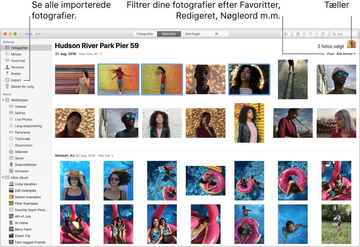 Fotos-vindue med flere valgte fotografier, der viser, hvordan du filtrerer fotografier i dit album, og hvordan du bruger indholdsoversigten.