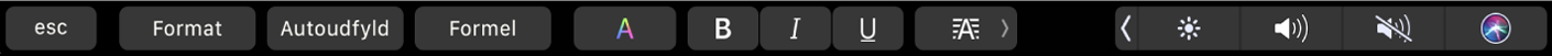 Touch Bar til Numbers med knapper til Format, Autoudfyld eller Formel. Der er også knapper til tekstformatering for farve, fed, kursiv, understreget og justering.