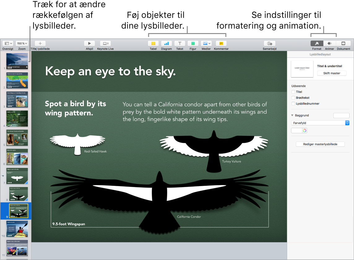 Keynote-vindue, der viser, hvordan du flytter rundt på lysbilleder, og identificerer knapper, der giver dig mulighed for at føje objekter til lysbilleder, inkl. indstillinger til format og animation.