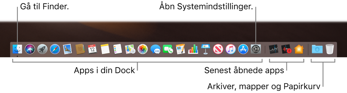 Et billede af Dock med Finder, Systemindstillinger og stregen i Dock, der adskiller programmer fra arkiver og mapper.