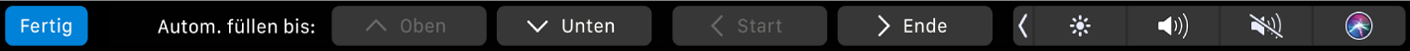 Die Numbers-Touch Bar mit angezeigter Taste für das automatische Ausfüllen Dazu gehören die Tasten „Oben“, „Unten“, „Start“ und „Ende“.