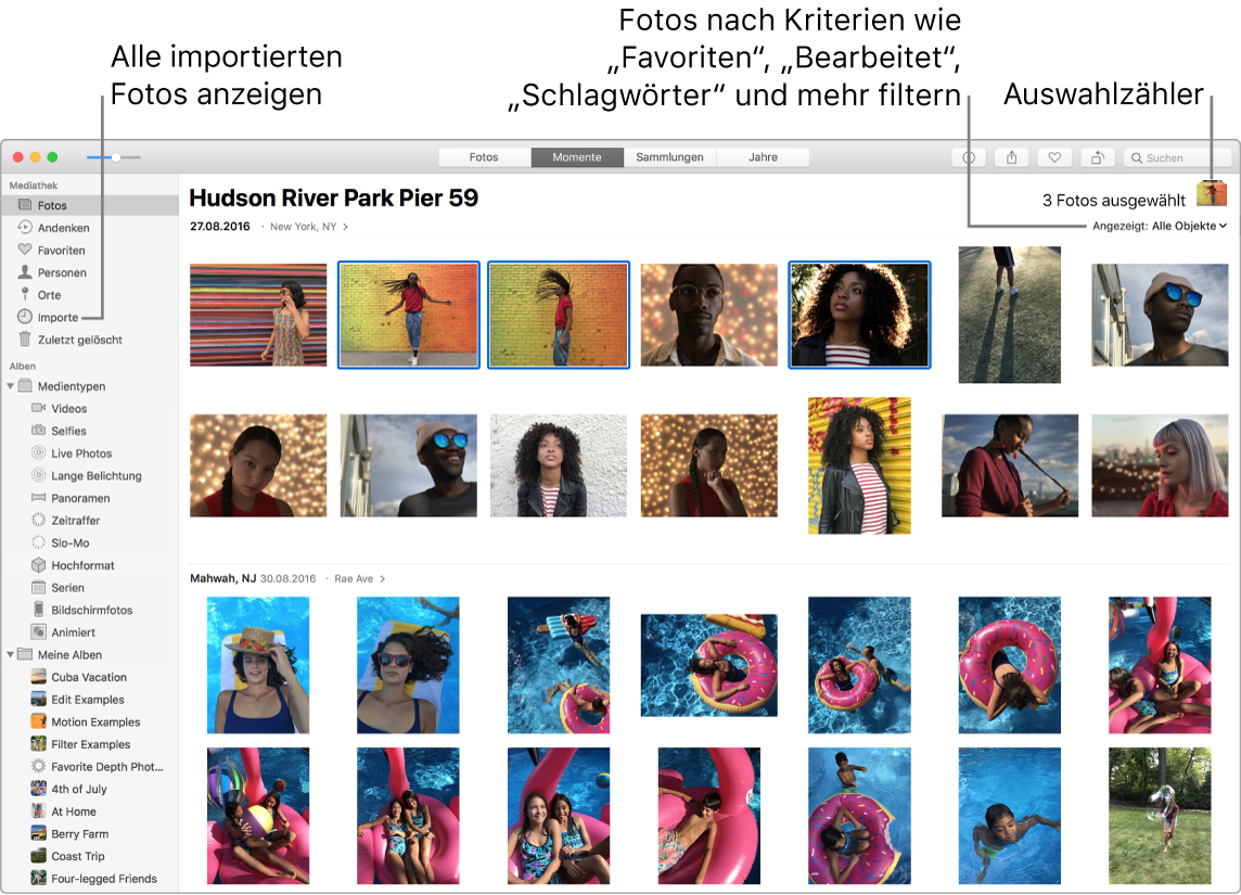 Das Fenster „Fotos“, in dem mehrere Fotos ausgewählt sind und in dem gezeigt wird, wie Fotos in einem Album gefiltert werden und wie die Seitenleiste verwendet wird.